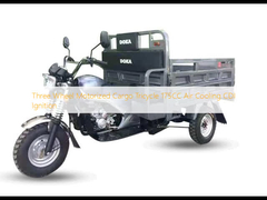 3륜 모터화 화물 삼륜자전거 175CC 공기 냉각 CDI 발화