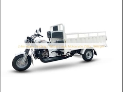 2.4m 무거운 부하 3바퀴 화물 오토바이크 250cc 1400rpm