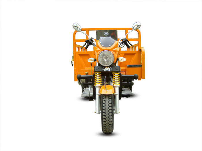 Shuiyin는 화물 Trike 250cc 3 바퀴 오토바이 가스 또는 휘발유 연료를 자동화했습니다