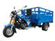 Iron Shaft Drive Motorized 250cc Cargo Tricycle With Differential Axle For Heavy Loading